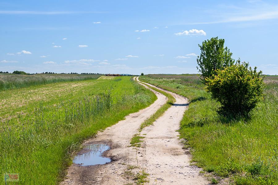 Widok na drogę odchodzącą od przejazdu w Bolesławowie