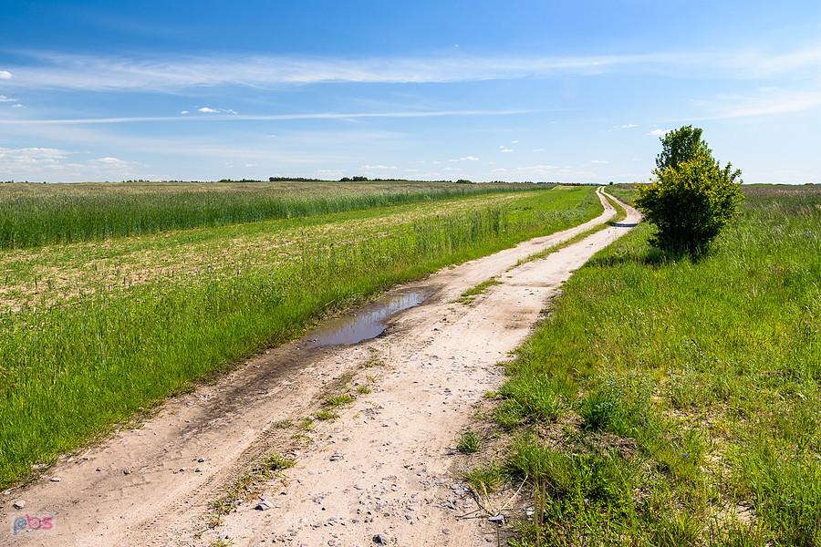 Widok na drogę odchodzącą od przejazdu w Bolesławowie