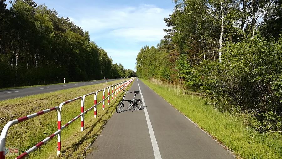 Bohater dnia na ścieżce rowerowej z Mrzeżyna do Dźwirzyna