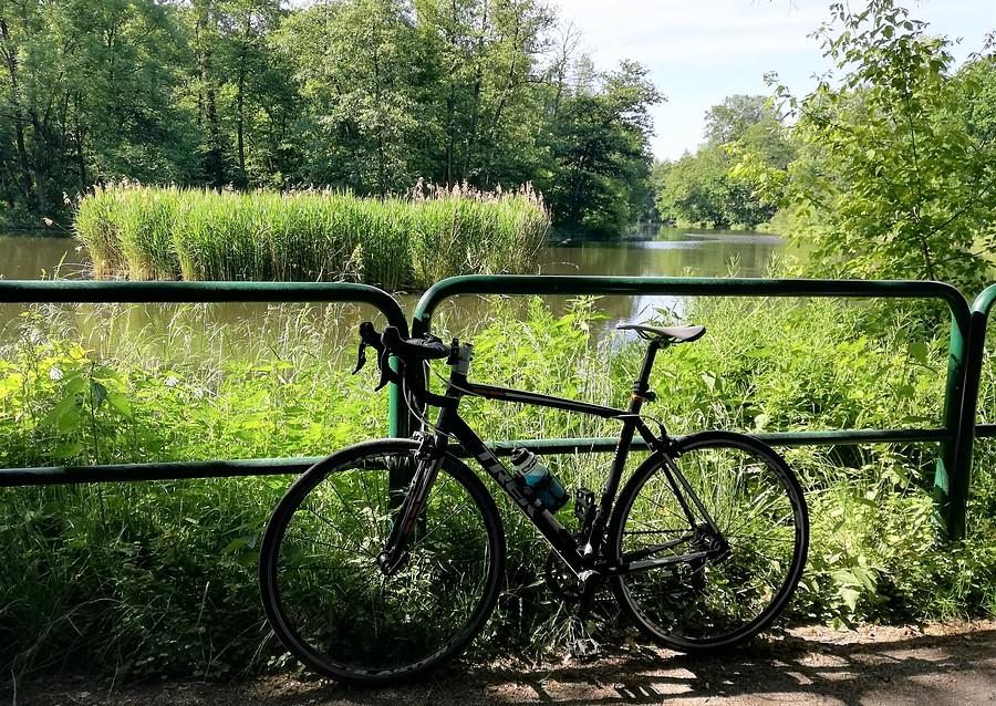 Chwila rera... reks... relaksu :) - Las Dębiński, Poznań