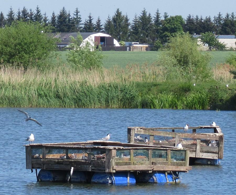 Mazury to to nie są... :), między Szczodrzykowem a Śródką