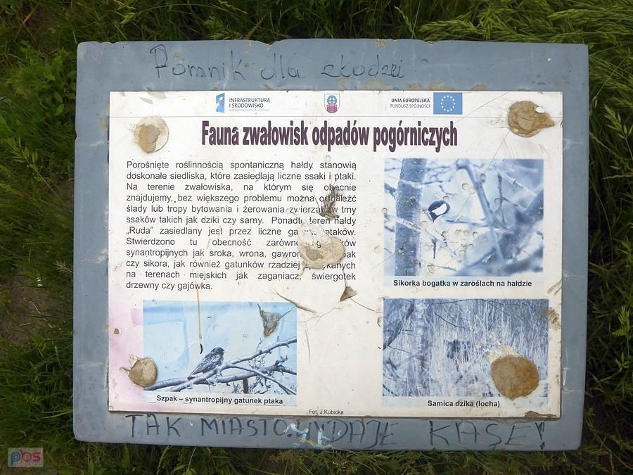Opinia mieszkańców?