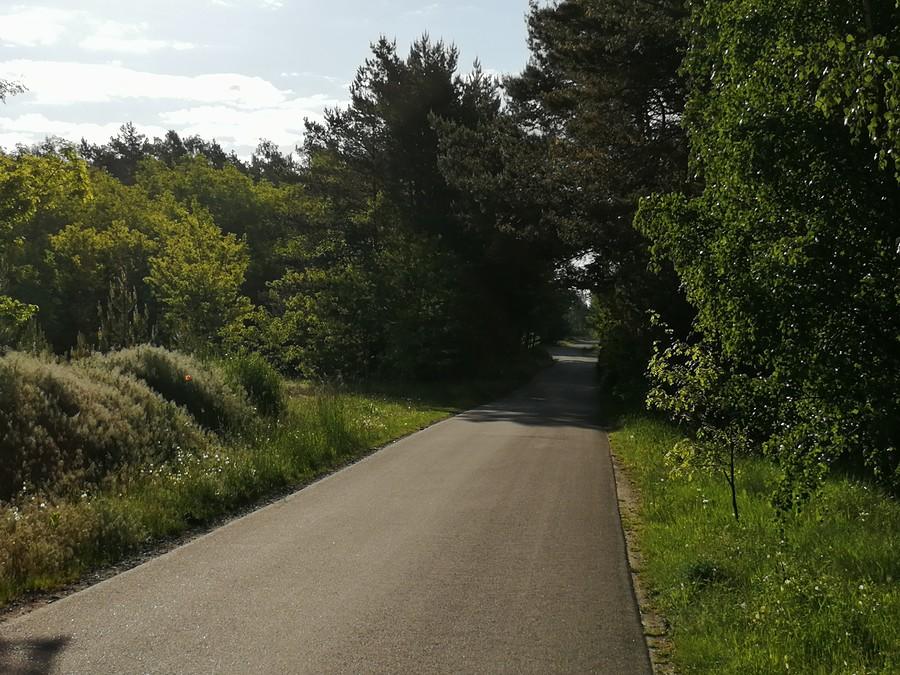 Będziechów - bardzo urokliwa wioska, głównie ze względu na otoczenie.