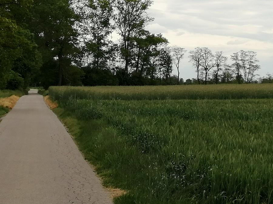 Następna wąska dróżka. Pierwsza część trasy bardzo przemyślana, więc jechało się wyśmienicie.