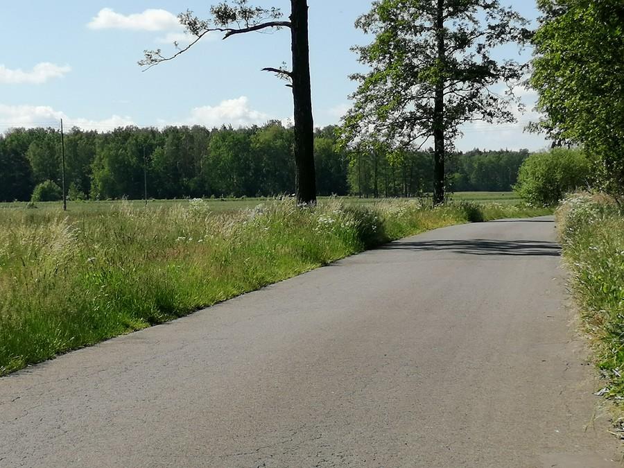 Po kilku odcinkach typu długa prosta, nareszcie zjeżdżam na kręte boczki w leśnej scenerii.