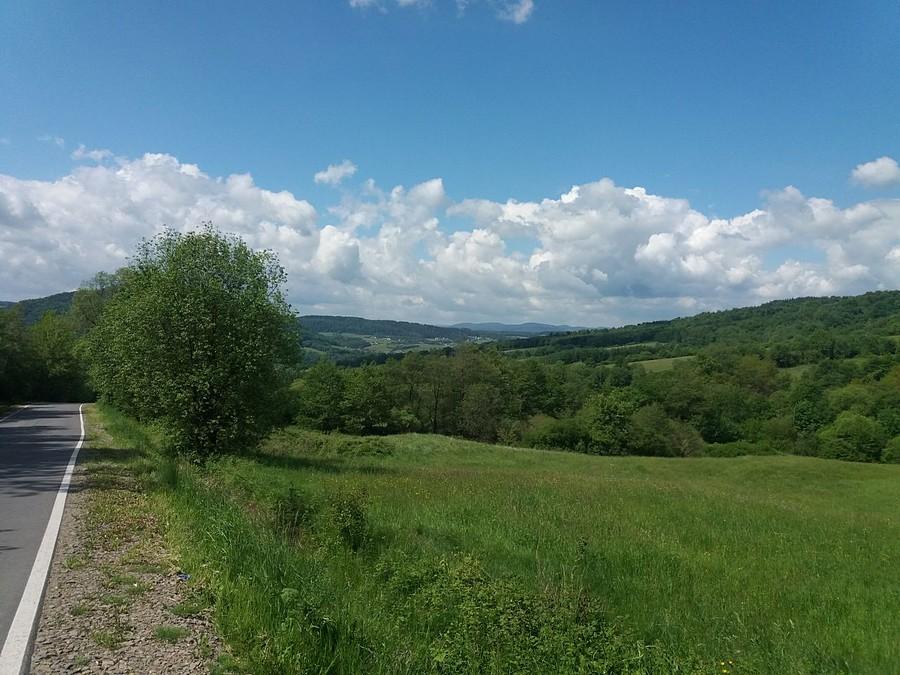 Łosie- Beskid Niski.