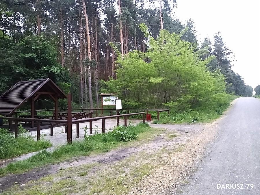 Dąbrowa Górnicza - Antoniów
