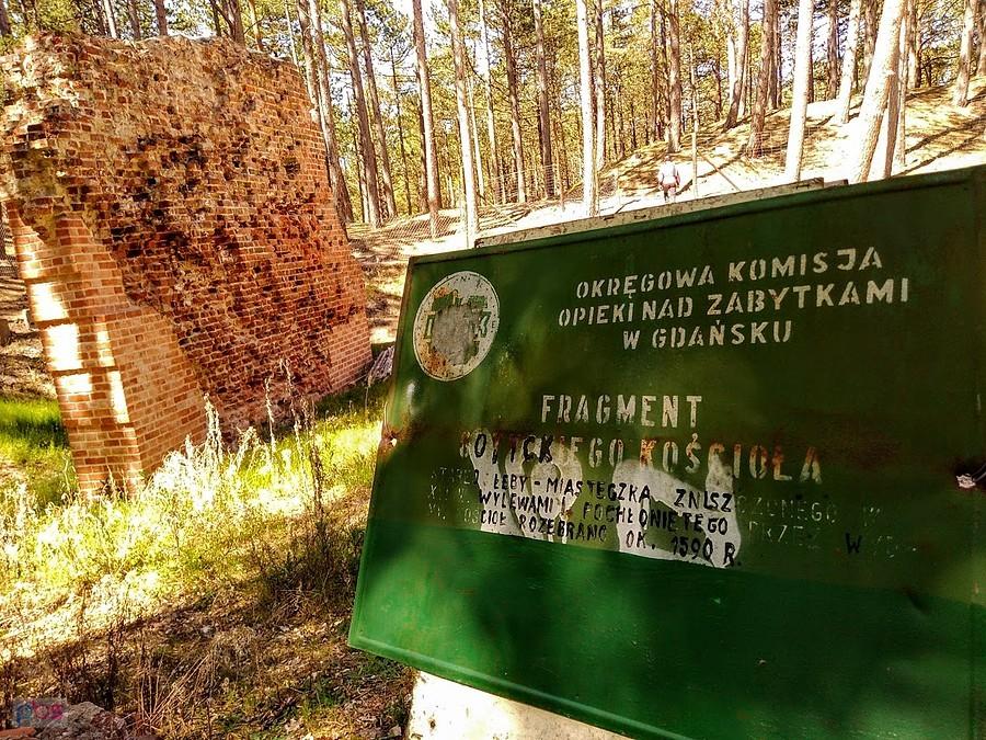 Tablica informacyjna przy ruinach w lesie