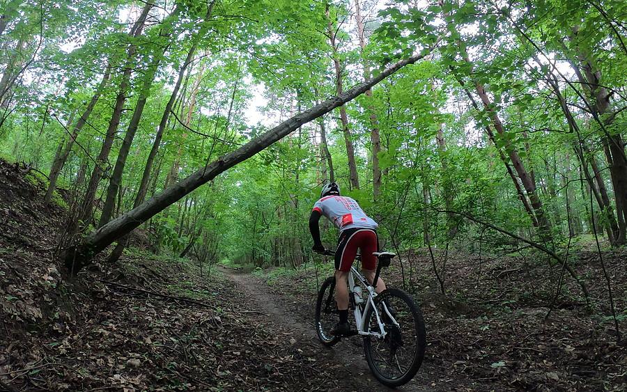 MTB w urokach czerwcowego WPN
