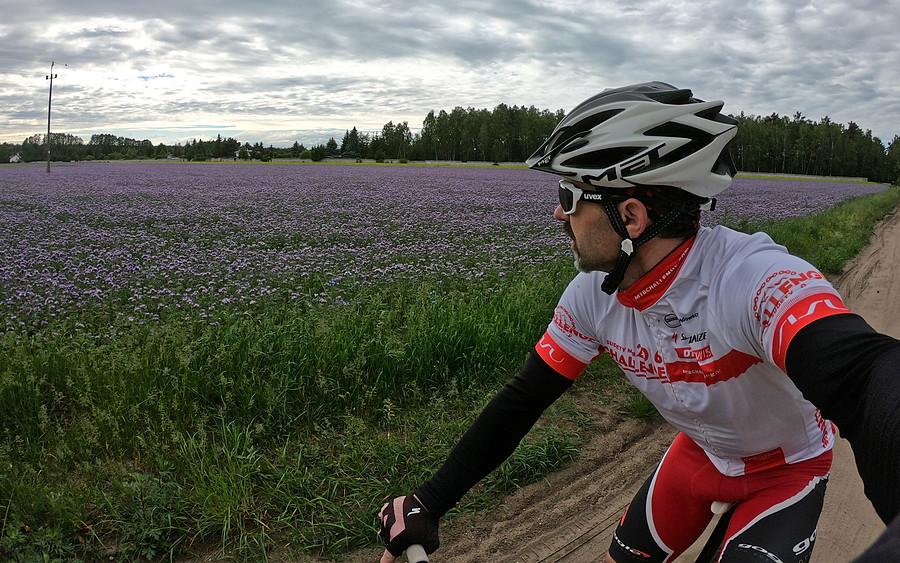 Fioletowe kontrasty na drodze powrotnej