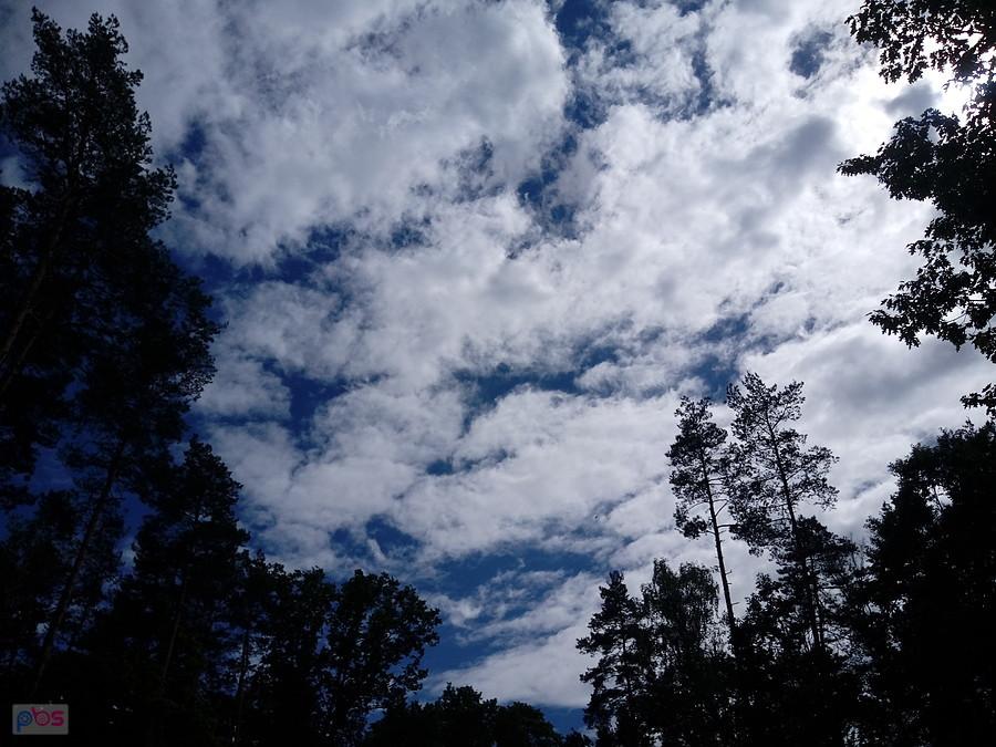Cirrostratus?