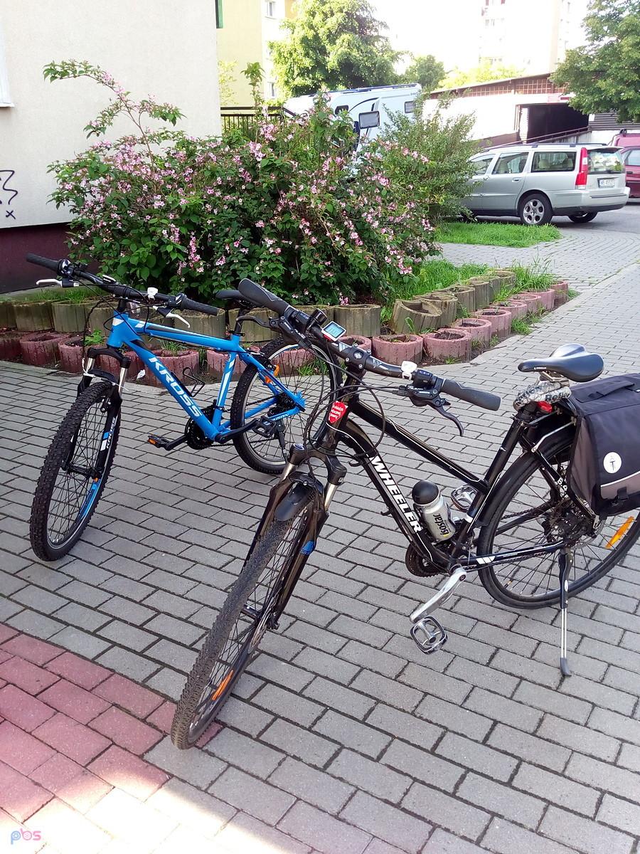 Nasze rumaki