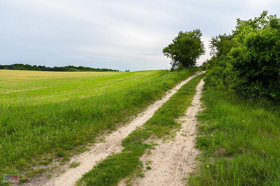 Droga wzdłuż torów w Zalesicach