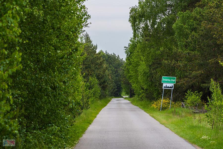 Droga ze Śmiertnego Dębu