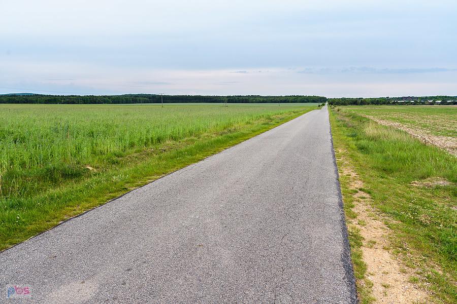 Droga z miejscowości Śmiertny Dąb do wsi Piasek