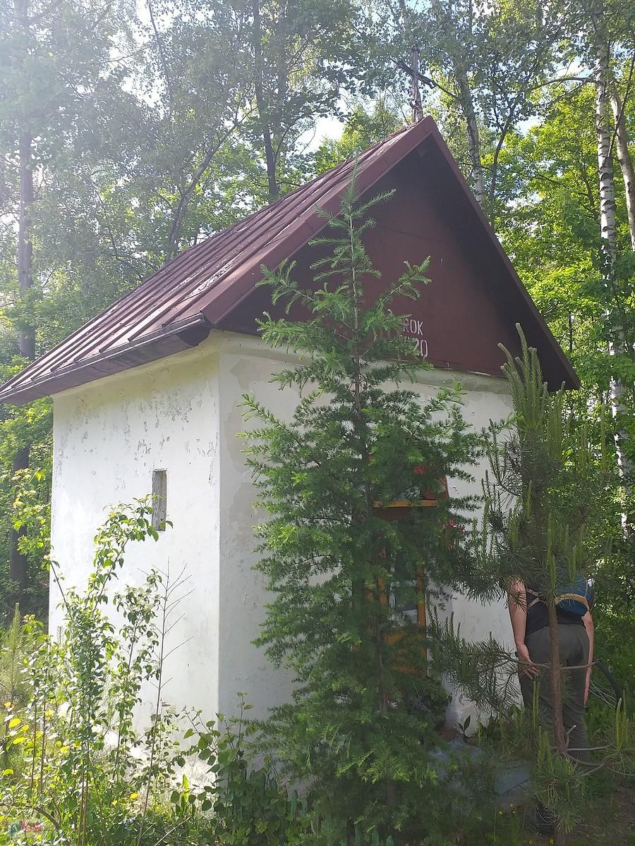 Cmentarz choleryczny w Sławkowie