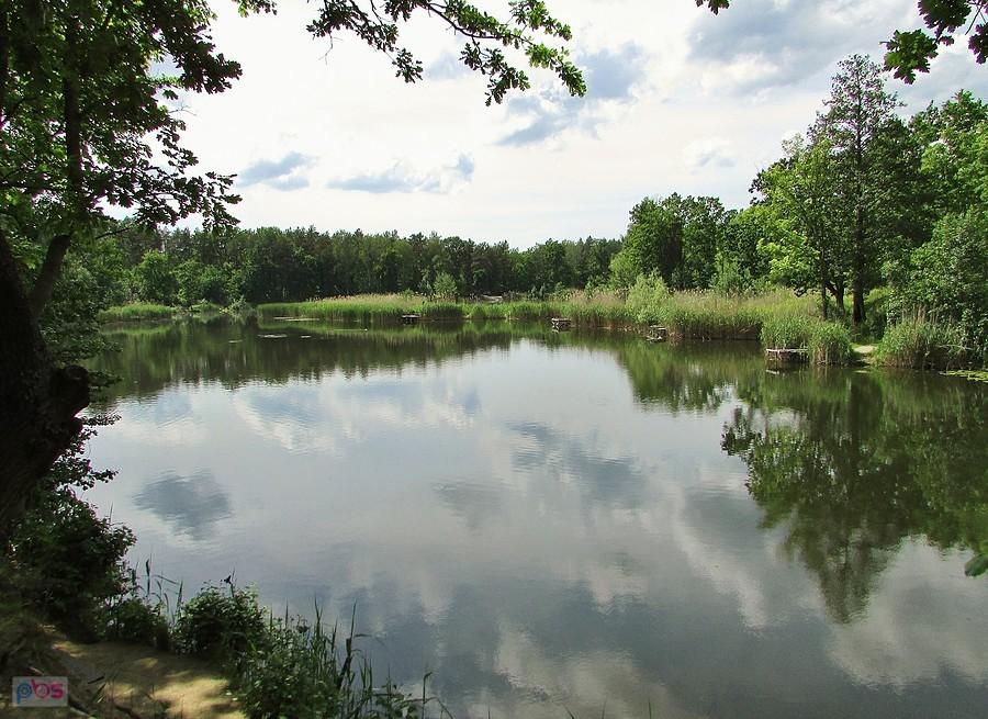 Staw koło Baniochy