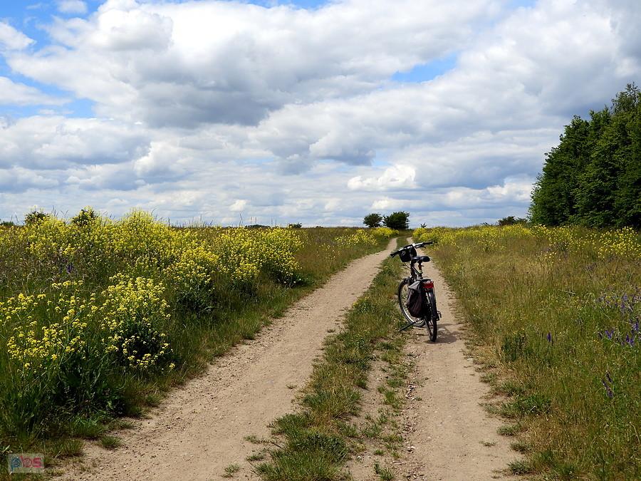 Na polnych bezdrożach.
