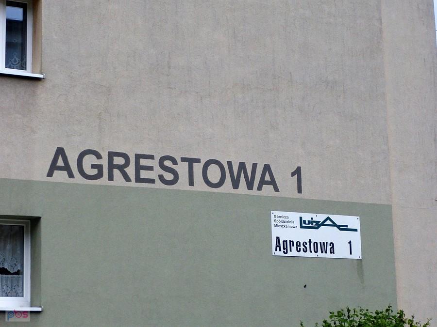 Agrestowa w Zabrzu