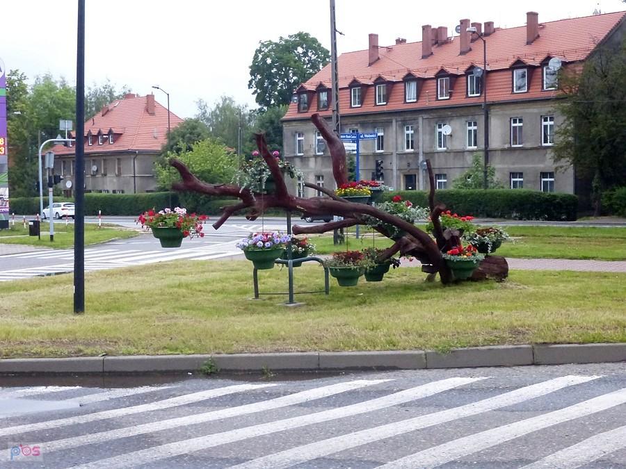 Zabrze - Aleja Bohaterów Monte Cassino