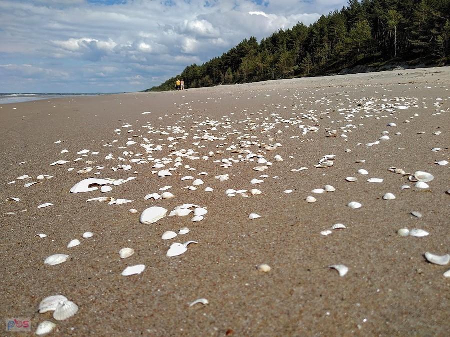 Plaża - Kąty Rybackie