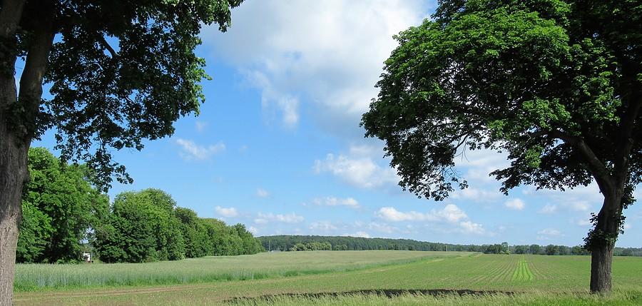 Wielkopolskie perspektywy, Dębogóra