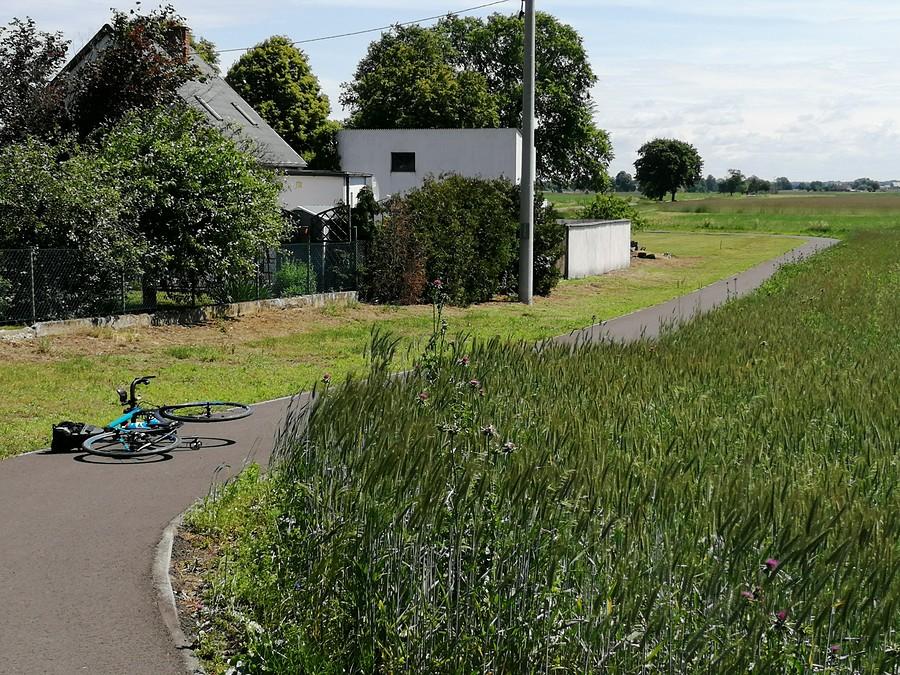 Ścieżka rowerowa do Skorzęcina, która jakością nawierzchni wygrywa z drogą.