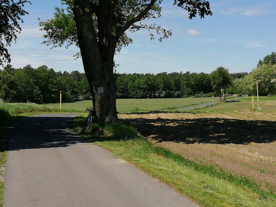 Dla takich dróżek i widoków tutaj przyjechałem.