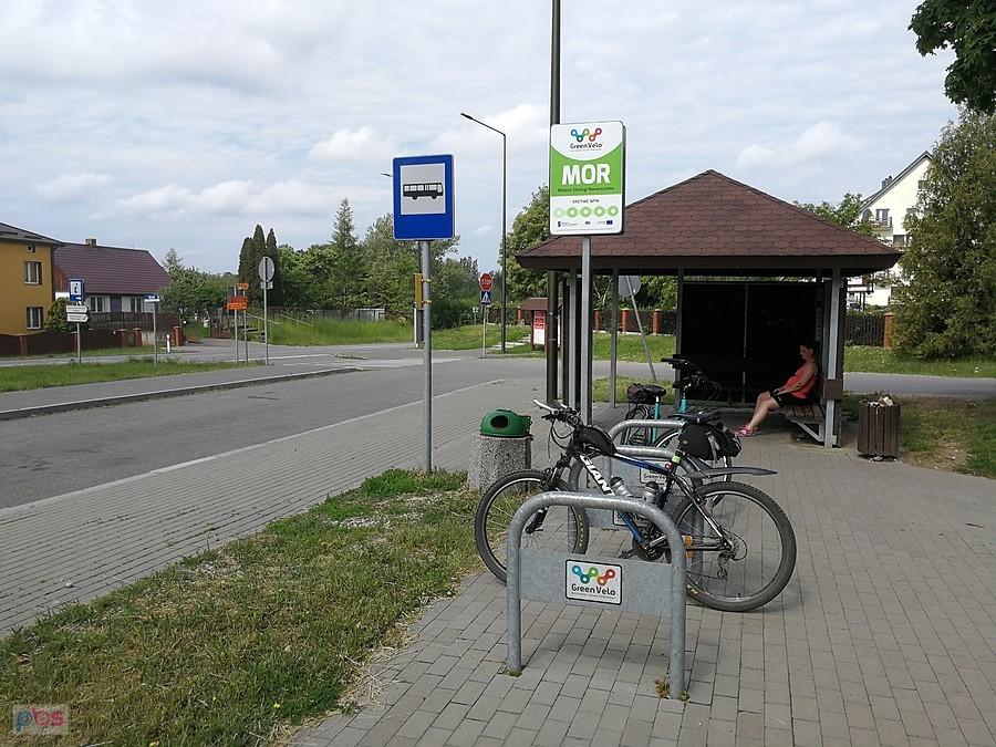 MOR Krzywe