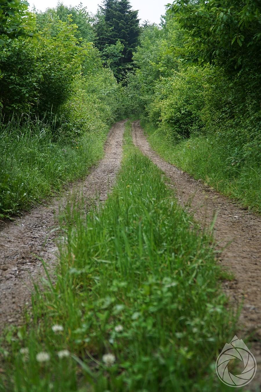kawałek lekko błotnego podjazdu nad Skalnik