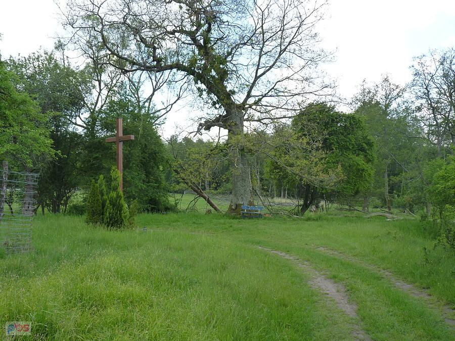 Krywałd