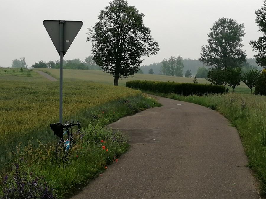 Zakrętas wśród zieleni.
