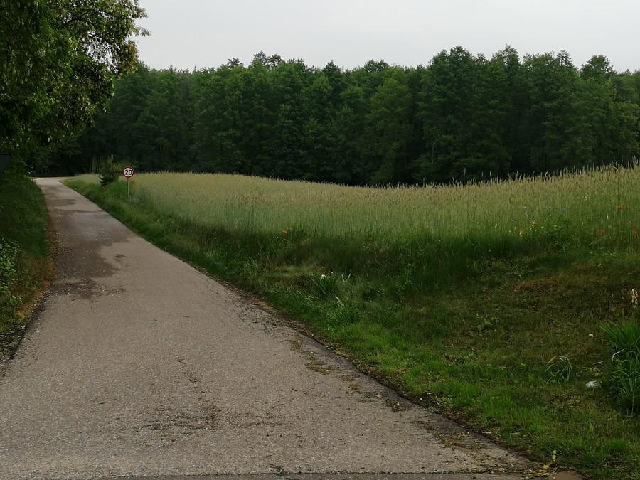 Piękna miejscówka z wąskimi ścieżkami.