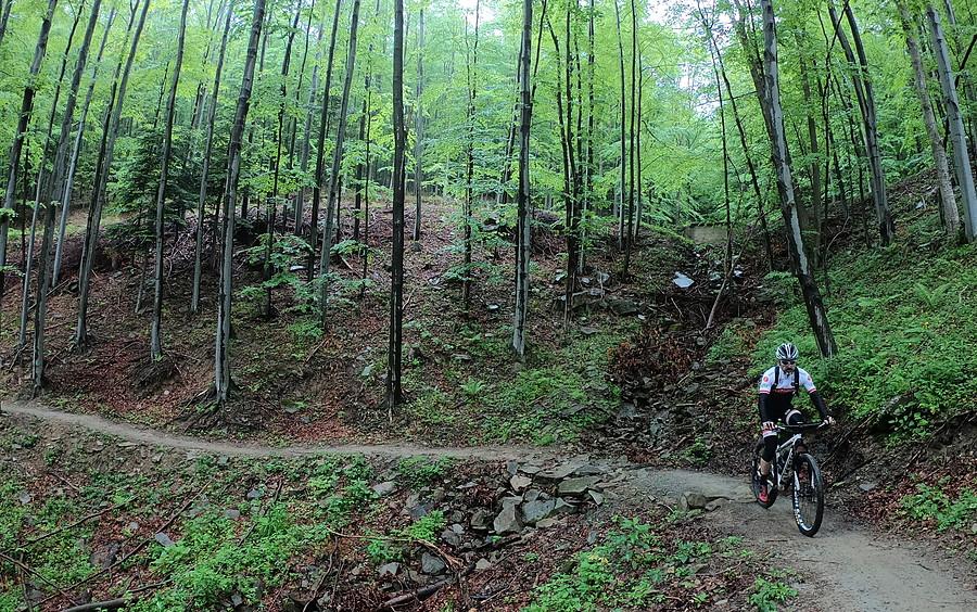 Podjeżdżanie rozpocząłem trasą Babia Góra Trails