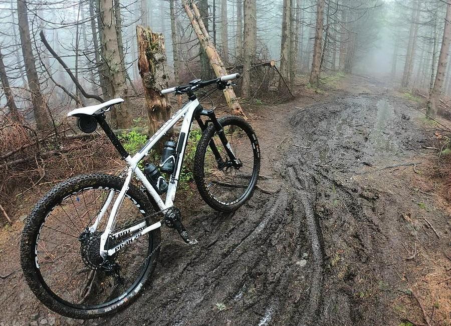 Na czerwonym szlaku po grzbiecie. Sporo tu śladów opon MTB