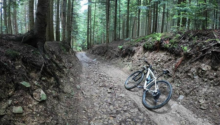 Na niebieskim zjazdowym (do Sidziny) poniżej 800m mgła zniknęła