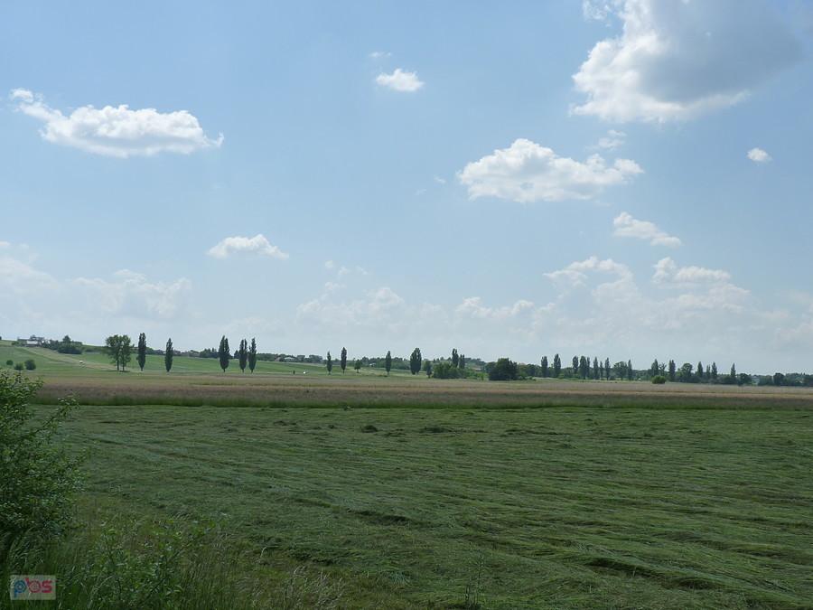widok na DK78