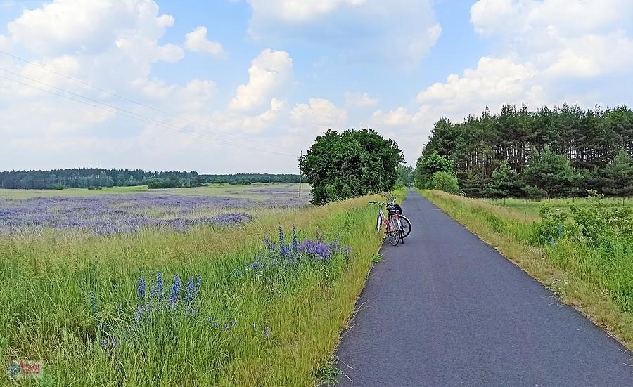 Najdłuższa trasa rowerowa w Polsce na byłych torach (ok. 50 km)