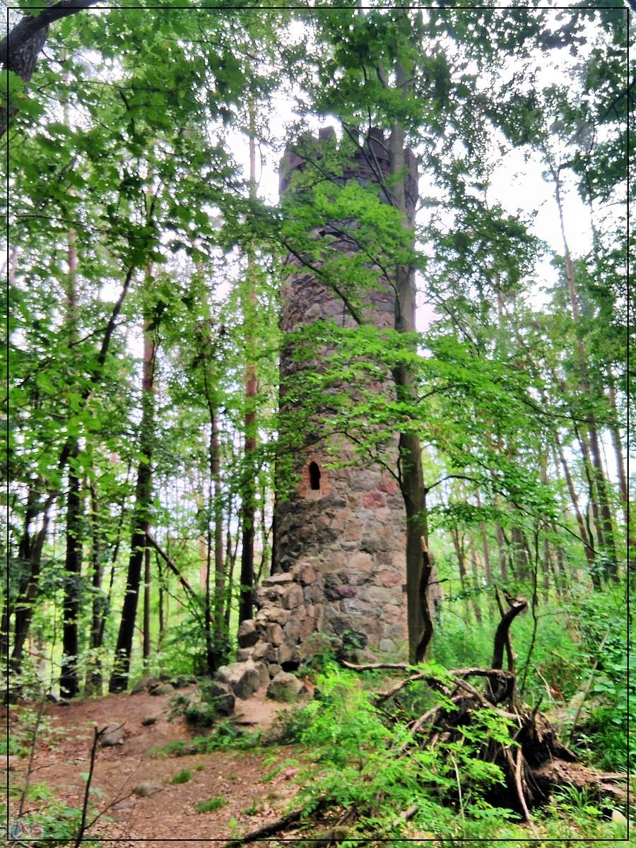 Wieża widokowa