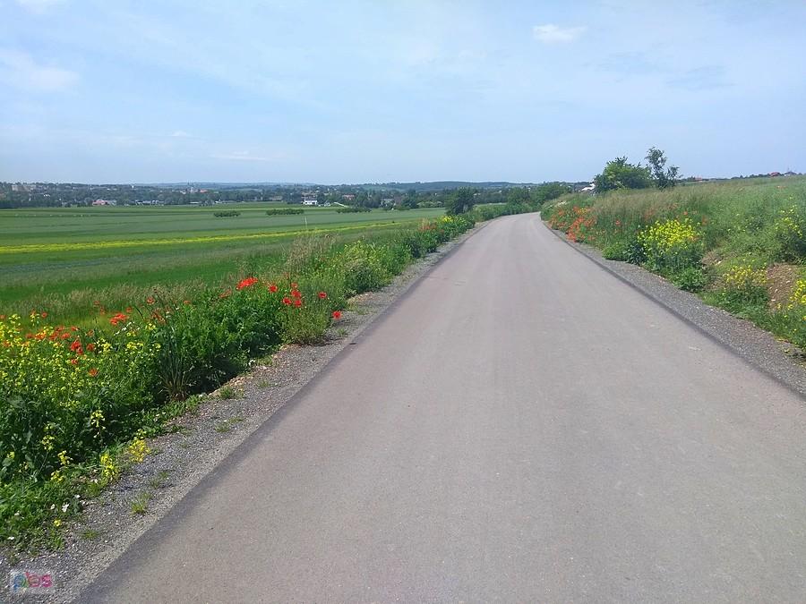 Miechów z rowerowej wylotówki na wschód