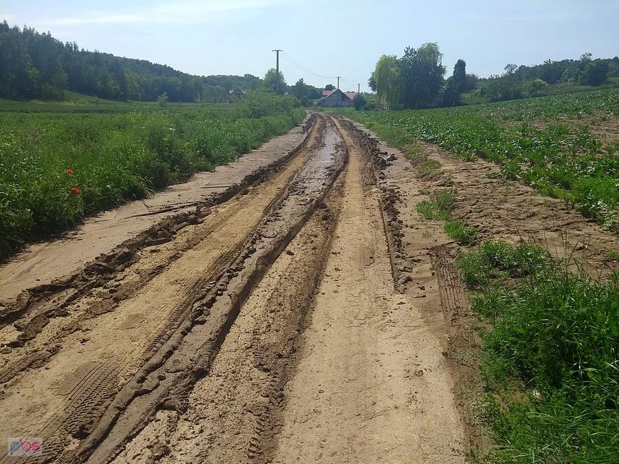 Raz błotniście