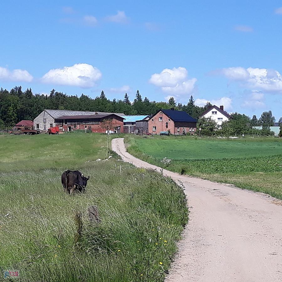 Rozgrzewka....