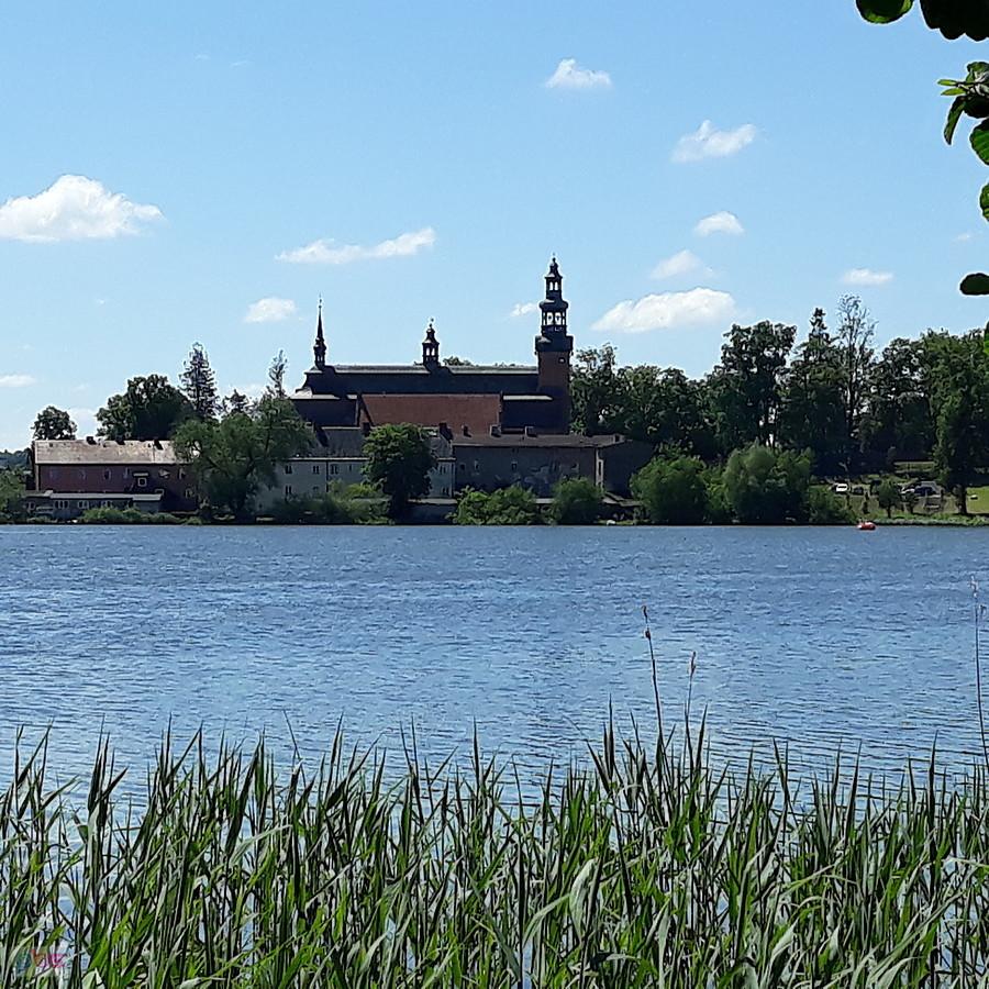 Widok na Kolegiatę pw. W.N.M.P z Wyspy Łabędziej w Kartuzach