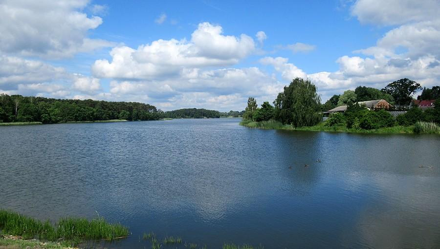 Czerwcowy widok na Jezioro Kowalskie
