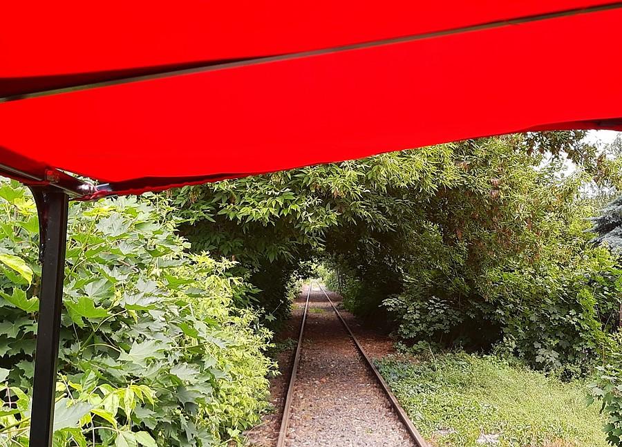 Wjazd w gąszcz, trasa na Osową Górę Mosińskiej Kolei Drezynowej