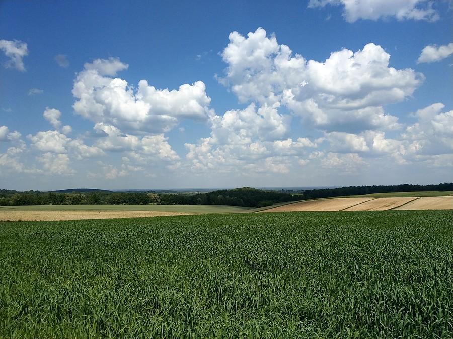 Widoczki z Mzurowa