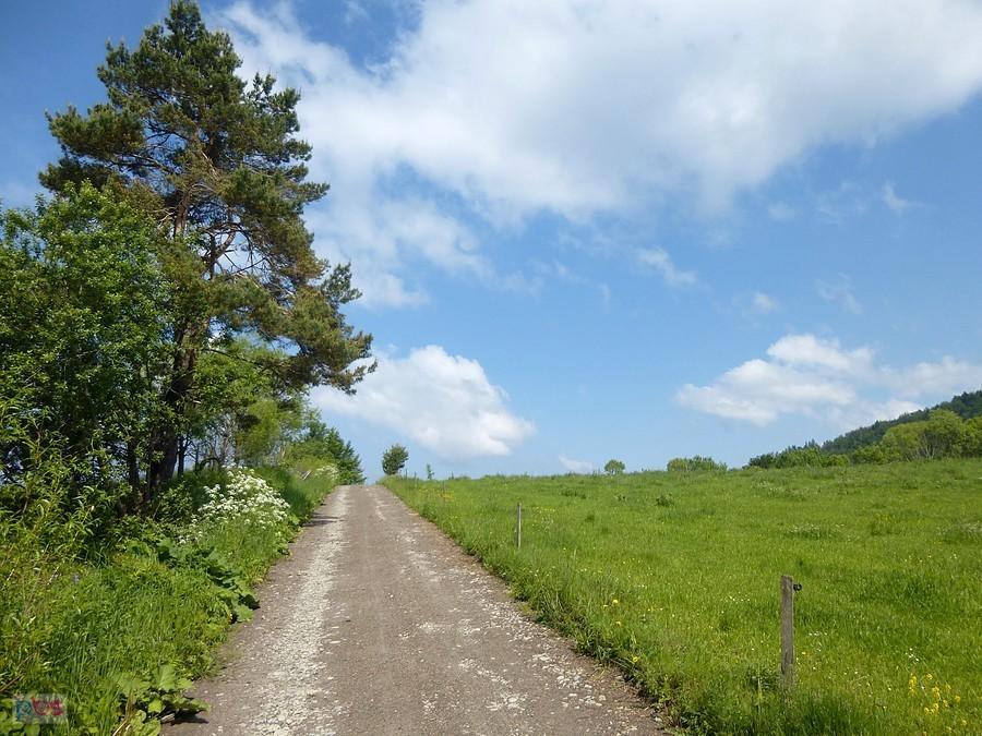 Lekko pod górkę