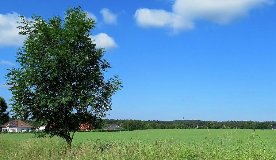 Wielkopolskie fałdki w tle