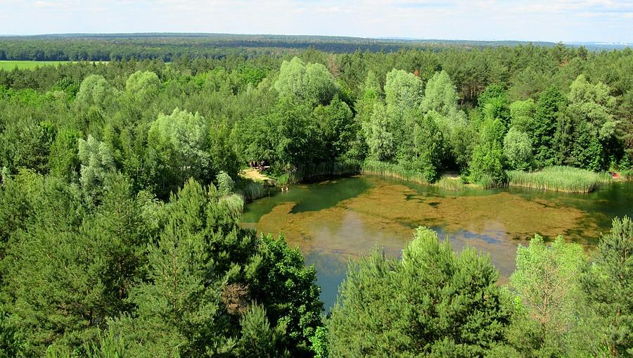 Godny widok z wieży widokowej na Osowej Górze, Mosina