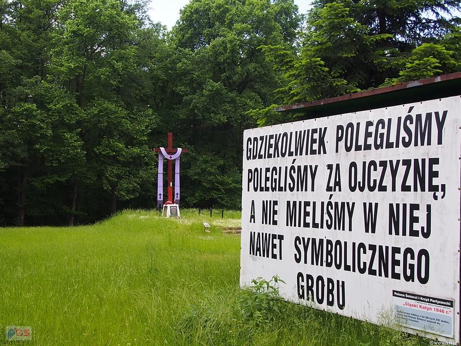 Krzyż Partyzancki na Polanie Śmierci